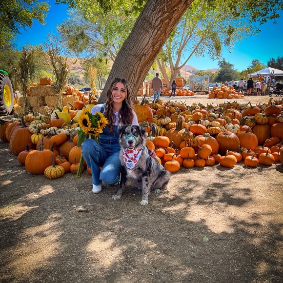 Meet your Posher, Sara - Picture 4 of 12